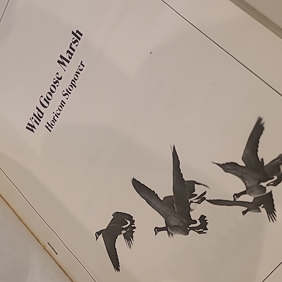 Wild Goose Marsh Horicon Stopover by Robert E Gard photo by Edgar G Mueller - Picture 7 of 12